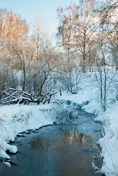 Paisagem de inverno com o rio — Fotografia de Stock