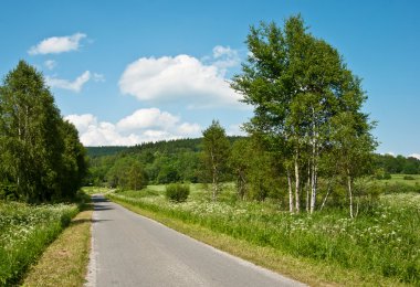 yol alan aracılığıyla