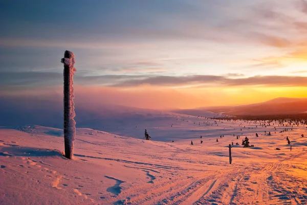 Solnedgång i tundran — Stockfoto