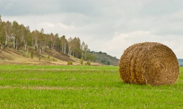 Haystack em campo — Fotografia de Stock