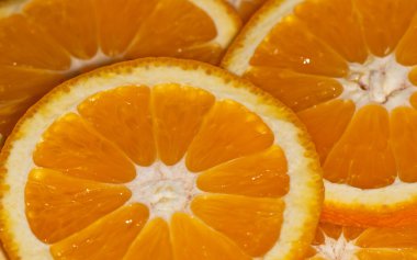 portakal dilimleri portre