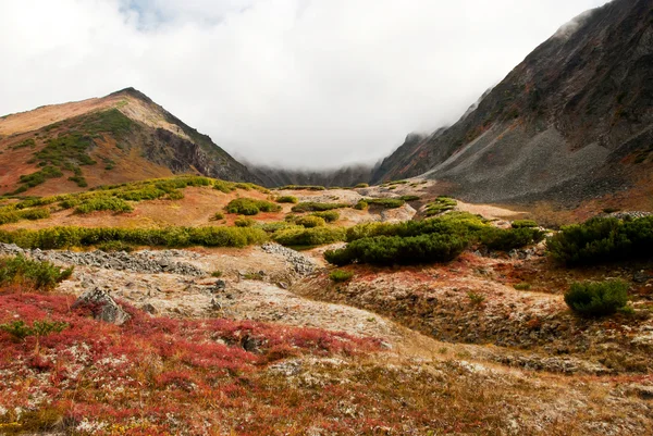 Outono paisagem em Kamchatka — Fotografia de Stock