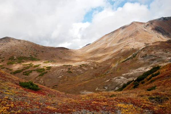 Outono paisagem nas montanhas — Fotografia de Stock