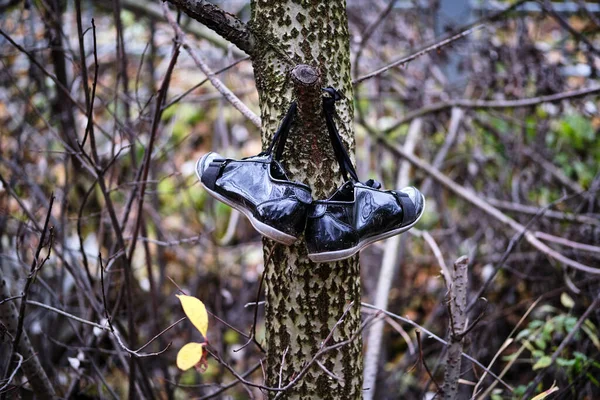 Pair Old Black Patent Leather Boots Hanging Tree Branch — Fotografia de Stock