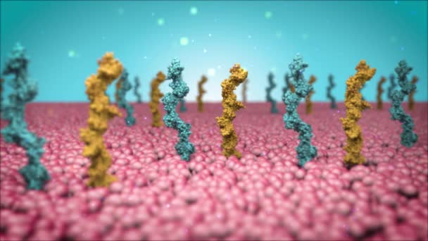 Vascular Endothelial Growth Factor Vegf Zellzellen Mitochondrienlipid Nanobot Nanobotmedizin Nanobotstudio — Stockvideo