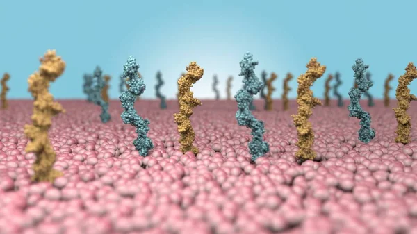 nanobot, nanobot medikal, nanobot stüdyosu, tıp sağlığı bilimi, kimya, eczacılık, farmakoloji, eğitim, ilaç, mikrobiyoloji, biyoloji, molekül, hücre hücreleri mitokondri lipid, vasküler endotelyal büyüme faktörü