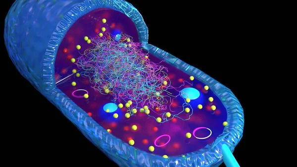 Bir çok flagellum içeren bir bakteri hücresinin yapısı, vücudun her tarafına eşit olarak dağılmış kamçılanmış, kırbaçlanmış, tüm yüzeyinde kırbaç izi olan bir kamçı.