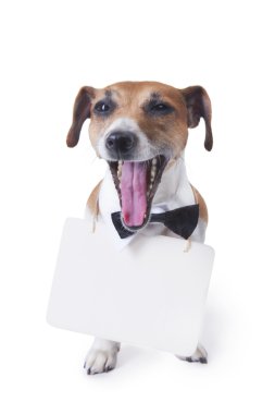 poster ile köpek