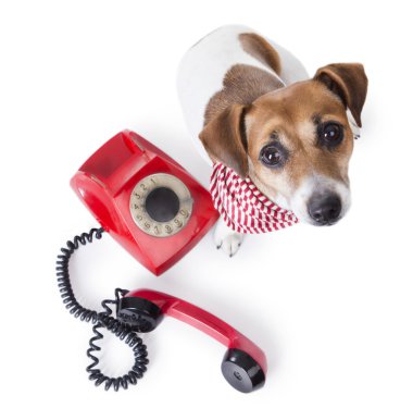 Bizimle irtibata geç