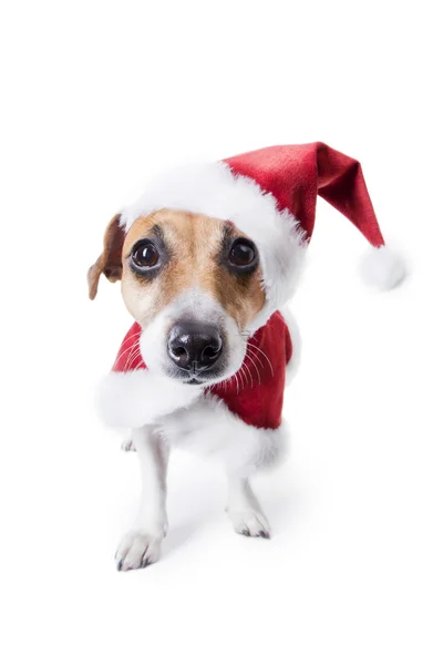 El pequeño ayudante de Santa . —  Fotos de Stock