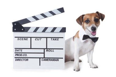 evde beslenen hayvan film yıldızı