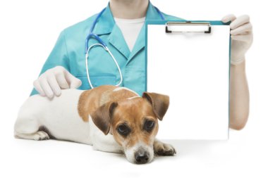 Veteriner ve afiş ile köpek