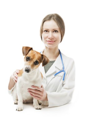 güzel veteriner işçisi kadın ile köpek