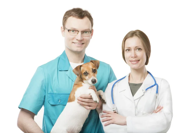 Team of young beautiful veterinarians — Stock Photo, Image