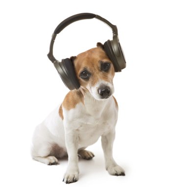 Dog music fan clipart