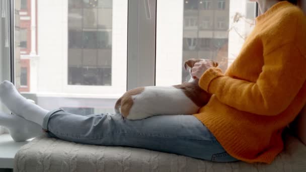 Vrouw Hond Koel Zitten Vensterbank Kijken Naar Sneeuw Vallen Warme — Stockvideo