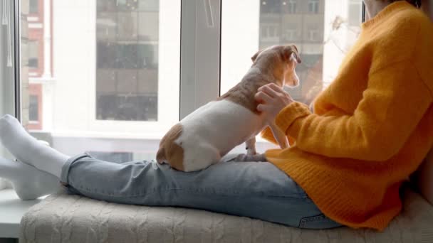 オレンジ色のセーターの女性が優しく犬を窓辺に座って外の雪を見ている 家での快適な冬の時間 ペットと一緒に寒い週末をお楽しみください リラックスした快適さの雰囲気を持つ — ストック動画