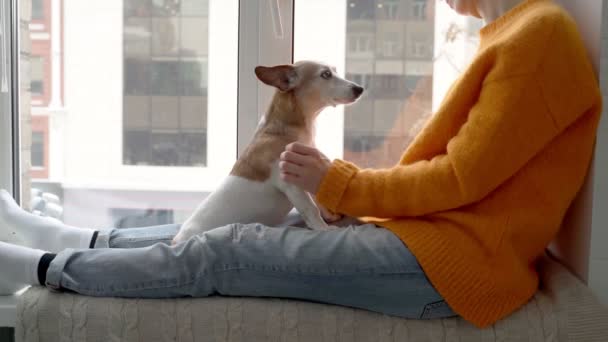 オレンジ色のセーターの女性が優しく犬を窓辺に座って外の雪を見ている 家での快適な冬の時間 ペットと一緒に寒い週末をお楽しみください リラックスした快適さの雰囲気を持つ — ストック動画