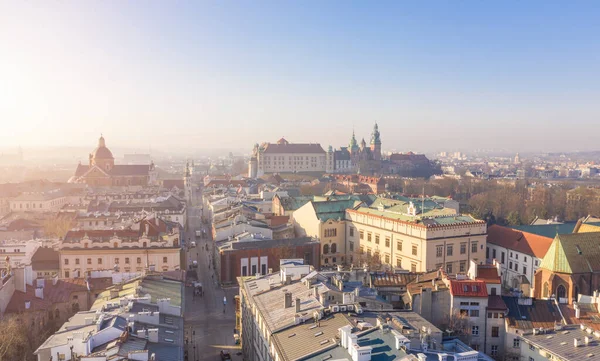 Krakow Polonya Şehir Merkezi Yukarıdan Wawel Kraliyet Kalesi Panoramik Manzara Stok Resim