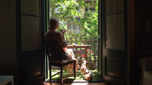 Weekend Lancio Lento Balcone Soleggiato Con Piccolo Cane Momento Estivo — Video Stock