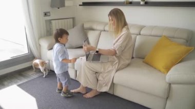 Anne, küçük oğlan yaramazlık yaptığında, dizüstü bilgisayarı seçtiğinde ve kapattığında çalışmaya çalışıyor, dikkat istiyor. Ünlü çatışması. Yavaş çekim video görüntüleri. Küçük köpek. Çocuk yetiştirmenin zorluğu