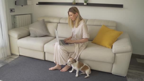 かわいい小さな犬とホームオフィス リビングやタイプのソファに座っている女性 ペットは彼女の隣の床に座っている フリーランス女性オンホームリビングルームにベージュソファと黄色の枕 — ストック動画