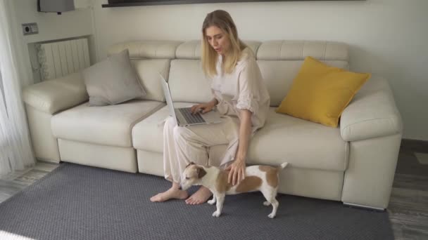 ブロンドの女がノートパソコンで働いてるベージュのソファに座ってる 小さな犬が床に座っている 日当たりの良い快適なリビングルーム スローモーションビデオ映像 ホームテーマに取り組む — ストック動画