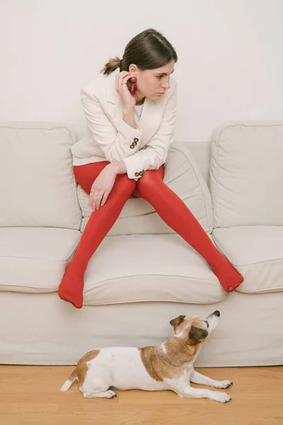 漂亮时髦的女孩坐在米黄色的沙发上 满不在乎地看着旁边 一只小狗躺在地板上 看着女孩 红色紧身衣 时尚风格 — 图库照片