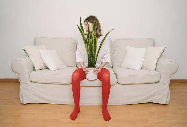 Menina Meias Vermelhas Shirt Branca Sentado Sofá Segurando Planta Entre — Fotografia de Stock