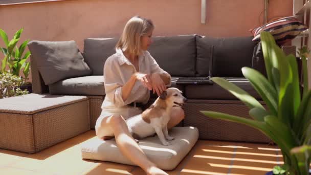 Werken Zonnig Zomerterras Met Kleine Senior Hond Jack Russell Terrier — Stockvideo