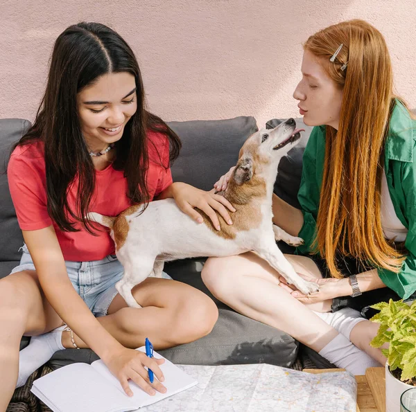 Studying two friends and small dog kissing. Pet lover happy moment. Studying together, making notes, preparing for exam, planning travel Back to school theme. summer sunny terrace. Green and red color