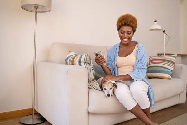 快乐的黑人女人爱抚小狗杰克鲁塞尔拿着手机坐在米黄色沙发上 穿着蓝色衬衫 微笑积极的情绪 在家里享受轻松舒适的周末 — 图库照片