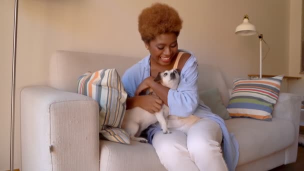 Красива Жінка Обіймає Маленького Чарівного Собаку Сидить Дивані Світлій Вітальні — стокове відео