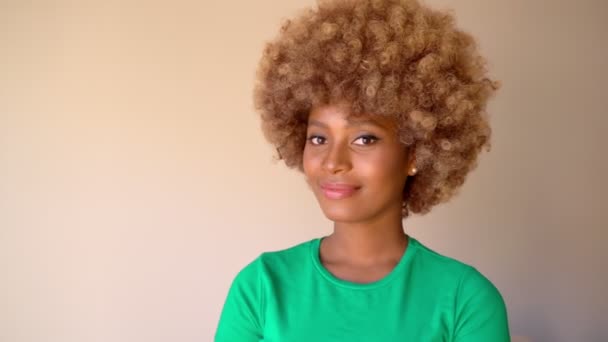 Felice Donna Dalla Pelle Scura Sorridente Con Acconciatura Afro Vestiti — Video Stock