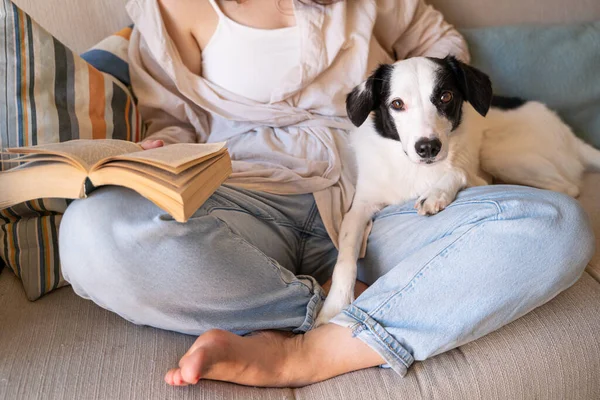 Reading Dog White Black Dog Looking Camera While Lying Laps — Stock Photo, Image