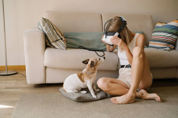 Looking Dog Glasses Headset Watching 360 Degree Video Confused Dog — Stock Photo, Image