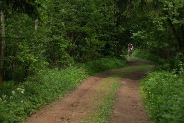 Bir orman yolunda bisikletçi. Görüntünün büyük bir kısmı eski bir kirli orman yolu.. 