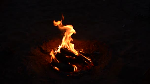 小篝火在漆黑的夜晚 — 图库视频影像