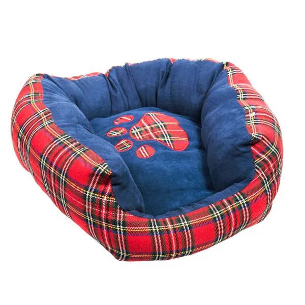 beyaz izole mavi tartan köpek yatak