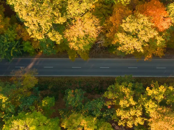 Vue Aérienne Route Avec Voiture Dans Une Belle Forêt Coucher — Photo