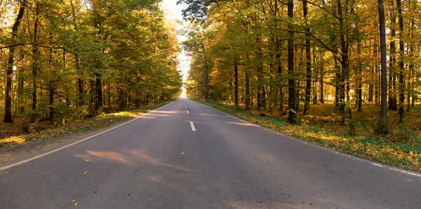 Strada Asfaltata Una Colorata Foresta Autunnale Foto Della Curva Strada — Foto Stock