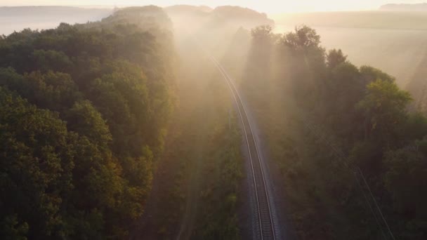 Mattina nebbia sui binari ferroviari, i raggi solari che brillano tra gli alberi — Video Stock