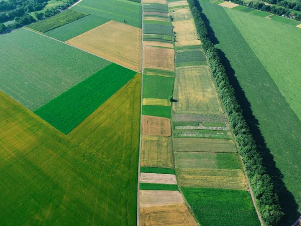 Land Plots Different Crops Top View — Stock Photo, Image