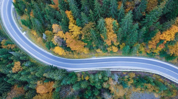 Aerial View Road Beautiful Pine Deciduous Forest Drone Flight Mountain — Foto Stock