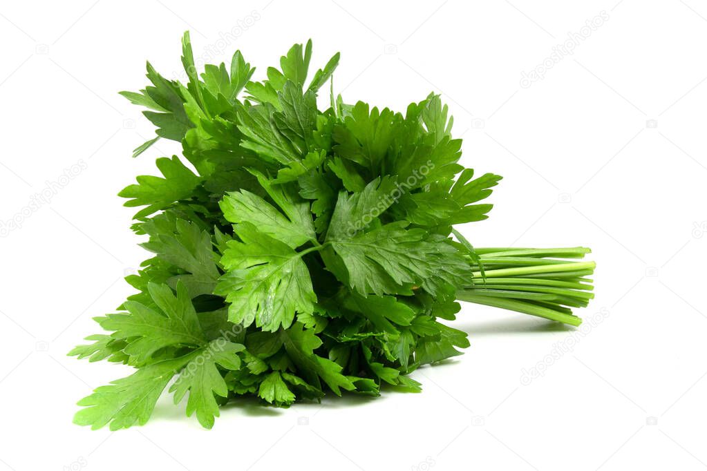 Bunch of green parsley isolated on white background.