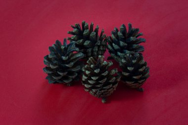 Kırmızı arkaplanda çam kozalakları