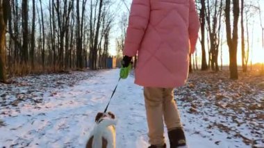 Kız ve Jack Russell Terrier kış parkında koşup oynuyorlar. Gün batımı ve bir evcil hayvanla ağaçların arasında koşmak..
