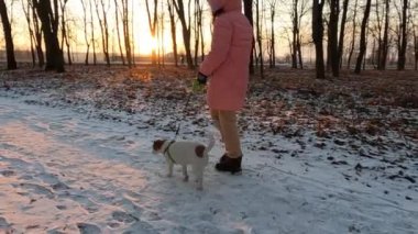 Pembe elbiseli bir kız ve Jack Russell Terrier köpeği kış parkında yürüyor. Yavaş çekim videosu.