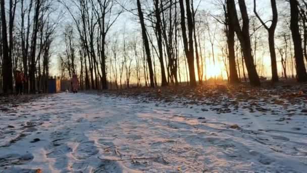 जॅक रसेल हिवाळी उद्यानातून धावत असलेल्या मुलीची वेळ गळती, Teplik, युक्रेन 20.01.2022 — स्टॉक व्हिडिओ