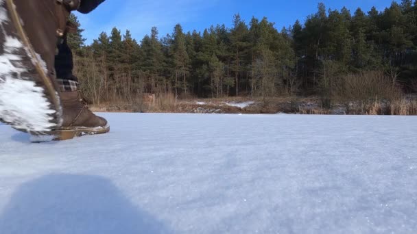 En man med en hund Jack Russell Terrier på en snöig frusen sjö nära skogen. — Stockvideo